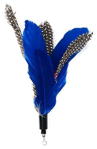 Cat Toys - Cat Feather Toys - Include Cat Wand, Natural Feather Refills Color A (5 pieces) - PawsPlanet Australia