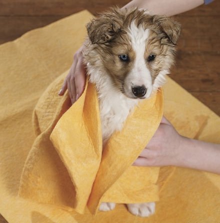 [Australia] - Drying Towel for Dogs and Cats 