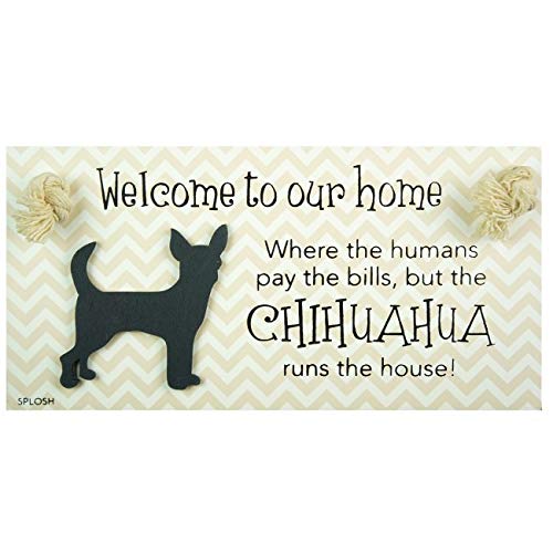 PRECIOUS PETS DOG PLAQUE AND DOG LEAD HOOK PACK, CHIHUAHUA, FUNNY SIGNS, DOG MUM GIFTS, DOG ACCESSORIES, HOUSE STUFF. - PawsPlanet Australia