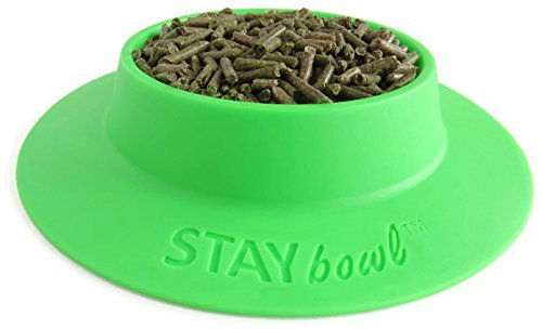 [Australia] - STAYbowl Tip-Proof Bowl for Guinea Pigs and Other Small Pets - Spring Green - Large 3/4 Cup Size New 