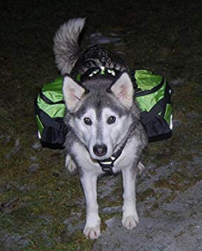 [Australia] - Pettom Dog Saddle Backpack 2 in 1 Saddblebag&Vest Harness with Water-Resistant for Backpacking, Hiking, Travel, for Small, Medium & Large Dogs Red 