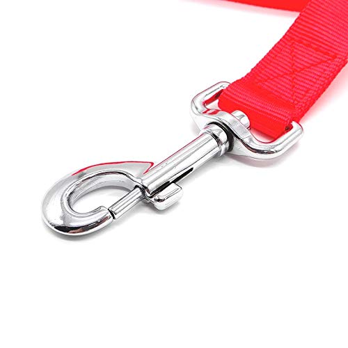 Frank & Sonny Battery Operated LED Dog Lead/Leash (Small, Red) Small - PawsPlanet Australia