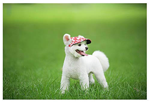 LESON Baseball Caps Hats with Neck Strap Adjustable Comfortable Ear Holes for Small Medium and Large Dogs in Ourdoor Sun Protection (M, Red) - PawsPlanet Australia