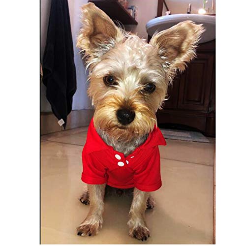 [Australia] - Petea Dog Shirts Pet Puppy Cotton Polo Shirt Basic T-Shirt Clothes for Dogs and Cats XS Red 