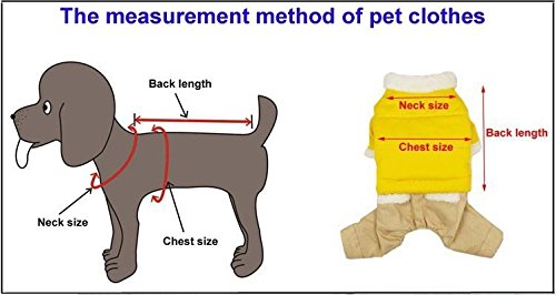 Pet Palace Pink (Large) Little Angel Dog or Puppy Wings Harness and Lead Set with FREE flashing LED Safety Light Collar Tag Large - PawsPlanet Australia