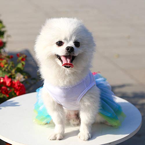 Idepet Spring Summer Pet Dog Cat Puppy Tutu Princess Dress Heart Printed Lace Skirt Clothes Pet Apparel X-Small Blue Lips - PawsPlanet Australia