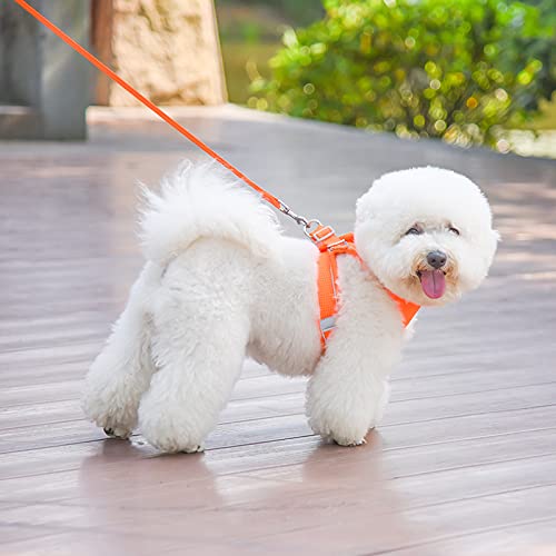 Dogs Harness Leash Set Family Pet Dog Leash Escape Proof Safe Cat Vest Harness for Walking Outdoor - Reflective Adjustable Soft Mesh Breathable Body Harness - Easy Control for Small, Medium, Large Cats and dogs Orange S（neck: 12"-14" chest:15"-17.5"） - PawsPlanet Australia