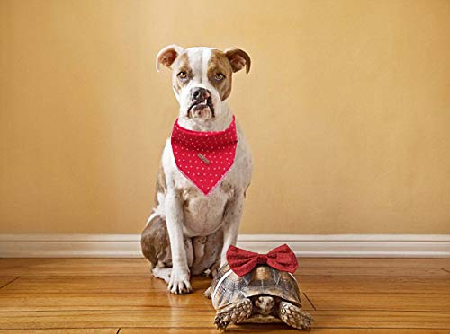 unique style paws Dog Bandana Square Dog Scarf Dog Kerchief, Cotton Bibs Sarf for Small Medium Large Dogs Adjustable Dog Bandanas L Red Dot - PawsPlanet Australia