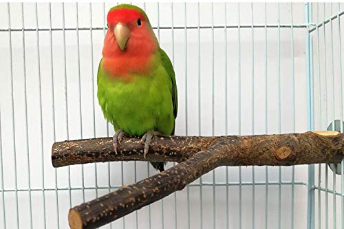 Nynelly Parrot Bird Perch Nature Wooden Fork Stand, Wooden Parrot Platform Natural Apple Wood Playground for Small Parakeets,Macaws, Parrots, Finches - PawsPlanet Australia