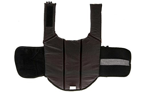 [Australia] - eBasics Dog Life Jacket Swimming Vest Swimsuit with Reflective Strips, Adjustable Belt Life Preserver Buoyancy Aid Flotation Suit for Extra Small Medium Large Puppy Doggy Dogs XS: chest girth 12-15in, weight 5.1-8.5lbs Orange 