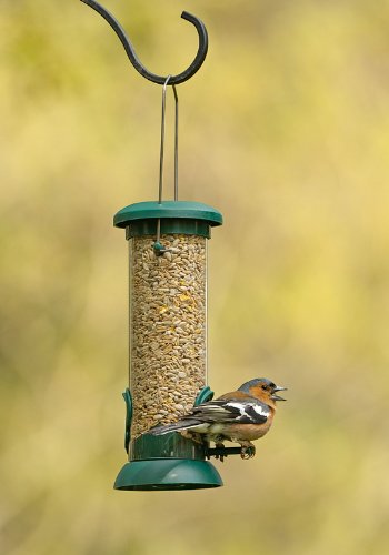 RSPB 9 inch Hanging Classic Seed Feeder for Mix Seed Blends, Nyjer Seed, Sunflower, Supporting the RSPB Charity, Easy Clean for Garden & Outdoor use - PawsPlanet Australia