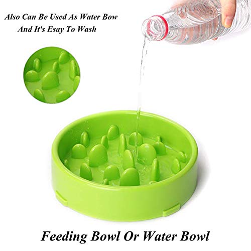 [Australia] - Kismaple Dog Slow Eating Feeder Bowl, Fun Foraging Anti Choking Anti Gobble Anti-Choke Interactive Feeding Slow Eating Bowls Non-Slip Green 