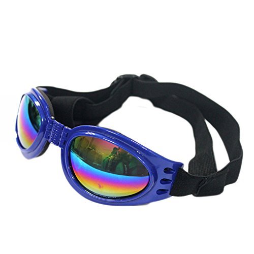 [Australia] - QUMY Dog Goggles Eye Wear Protection Waterproof Pet Sunglasses for Dogs About Over 15 lbs Blue 