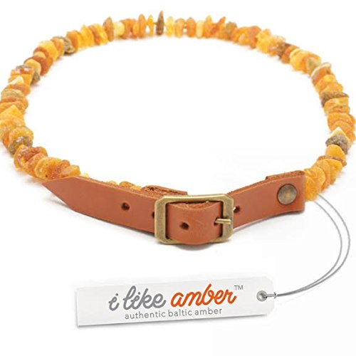 Amber collar for dogs, amber necklace for dogs with leather strap, tick protection for cats, Baltic amber from Lithuania 55-60 - PawsPlanet Australia