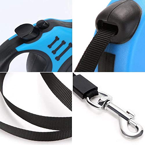 BAX Canine Retractable Extendable 5M Lead Up to 14Kg Dog - PawsPlanet Australia