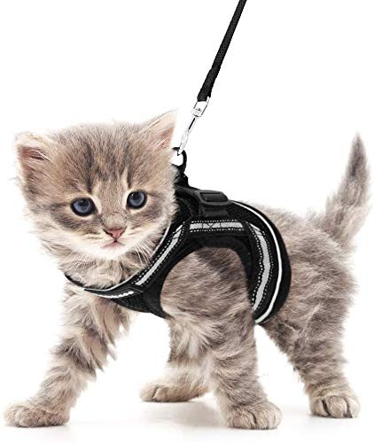 rabbitgoo Cat Harness Escape Proof for Walking Adjustable Soft Kitten Harness and Lead Set Vest with Reflective Strip for Extra Small Cats, Step-in Comfortable Outdoor Vest Harness S Black - PawsPlanet Australia