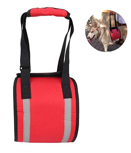 Dog Auxiliary Belt Dog Lift Support Harness Rehabilitation Harness Assist Sling Pet Walking Aids with Soft Handle Straps for Elderly Injured Disabled Pet Dogs to Go Up/Down Stairs(M) M - PawsPlanet Australia
