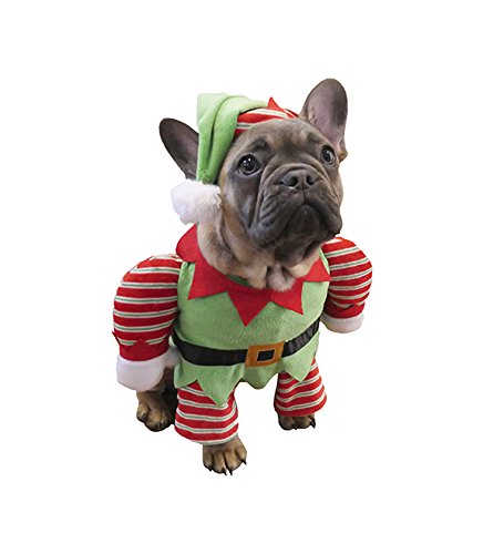 Rosewood Santa's Little Helper Dress-Up for Dogs, X-Small, 7.5-Inch - PawsPlanet Australia