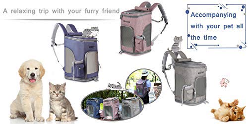 HIKEMAN Pet Carrier Backpack for Small Dogs Cats Lockable Zipper Breathable Mesh Top Openable Foldable Dog Cat Rucksack Suitable Waterproof Padded Fabric Pet Dog Puppy Cat Backpack（Pink） Pink - PawsPlanet Australia