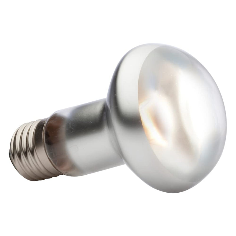 Exo Terra Intense Basking Spot Lamp, 75 W 75 Watt - PawsPlanet Australia