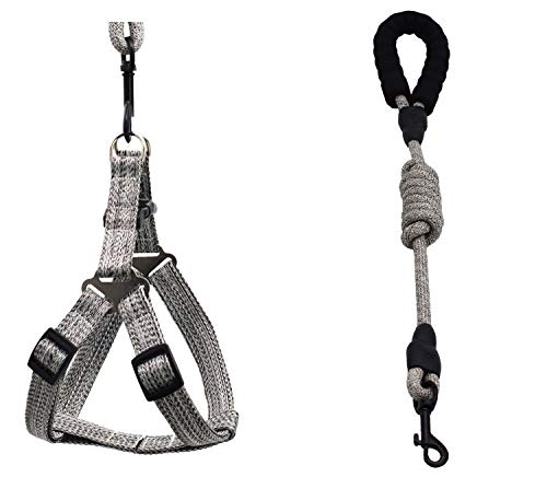 [Australia] - Breathable Pet Dog and Adjustable for Dogs Puppy Cat Pets Chest Strap Leash (S, Gray) S 
