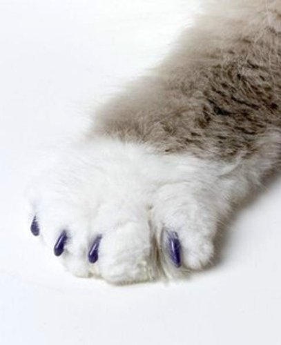 [Australia] - Soft Claws Nail Caps Medium Purple for Cats 9-13 lbs (Non CLS) 