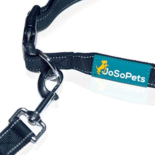 Hands Free Dog Lead For Running, Jogging or Walking/Dog Walking Belt - Reflective with Large Double Sided Lined Pouch - Up to 60 Kg - PawsPlanet Australia