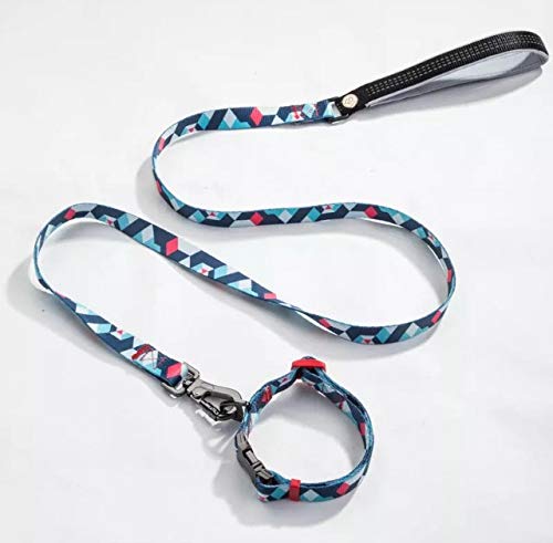 Everking Dog Lead Modern Multicoloured (0202-1) 0202-1. - PawsPlanet Australia