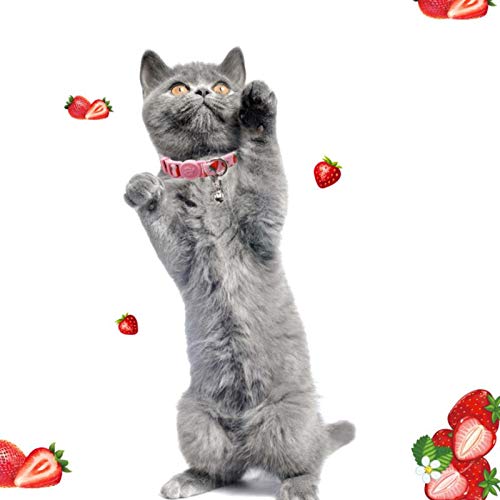 azuza Cat Kitten Collar Breakaway with Bell Quick Release Safe Buckle Adjustable Cat Kitten Collar Kitten Collar ( 6“-8”) - PawsPlanet Australia