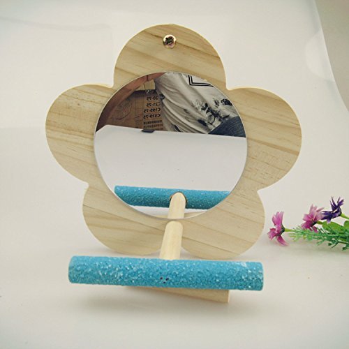 Hypeety Bird Parrot Mirror Toy with Perch for Parrot Parakeet Budgies Cockatiel Conure Finch Lovebird Cockatoo Birdcage Wood Stand Perch (Color Random) Flower Shape - PawsPlanet Australia