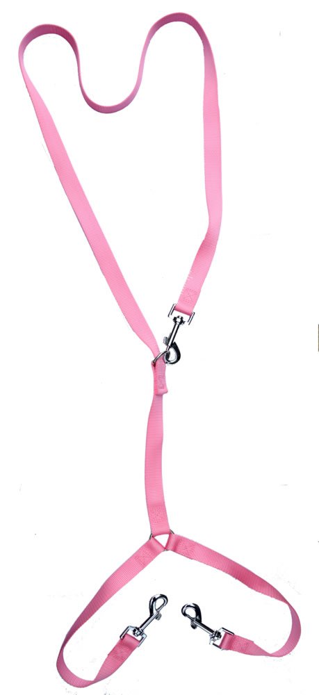 [Australia] - Durable Nylon Medium Dog Leash + 2-Way Dog Couplers pink 