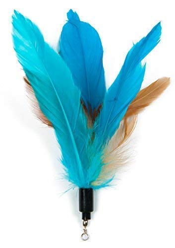 Cat Toys - Cat Feather Toys - Include Cat Wand, Natural Feather Refills Color A (5 pieces) - PawsPlanet Australia