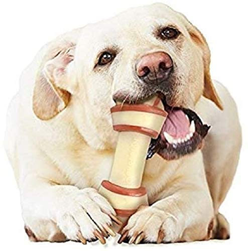 Nylabone Extreme Tough Dog Chew Toy Rawhide Knot Alternative, Mess-Free, Beef Flavour, Large, for Dogs Upto 23 kg - PawsPlanet Australia