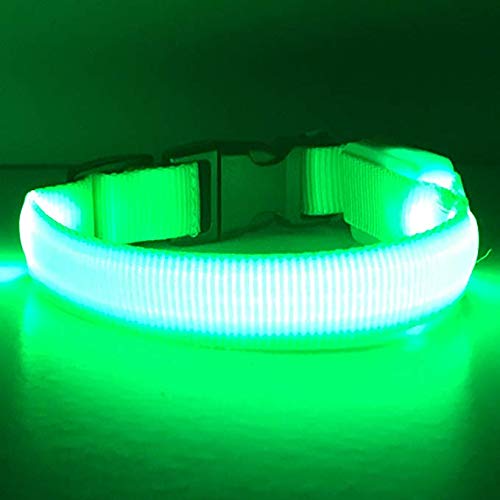 EXPERSOL LED Dog Collar Super Bright Battery Operated Increased Visibility and Safety 4 Colours (X-Small Green) - PawsPlanet Australia