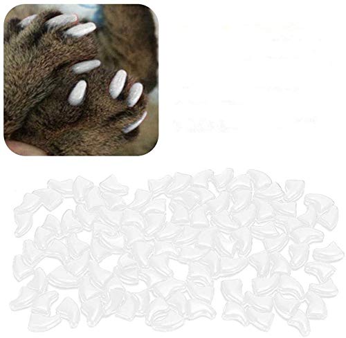 Cat Nail Caps, 100 Pieces Soft Cat Nail Protectors with Glue for Cats Kitten Safe Anti Scratch(White) - PawsPlanet Australia