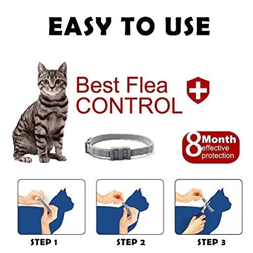 BINGPET Flea and Tick Collar for Cat - 8 Month Protection Adjustable Collar- Best Flea Control Treatment for Kitten - PawsPlanet Australia