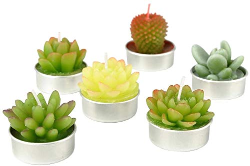 SanSeng Cactus Tealight Candles, Handmade Delicate Succulent Cactus Candles（ Perfect for Birthday Party ,Wedding, Spa, Home Decor( 6 Pcs in Pack) - PawsPlanet Australia