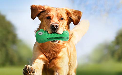 Dog Chew Toys for Medium Large Dogs, Natural Rubber Durable Indestructible Aggressive Chewers Dog Toy Teeth Cleaning - PawsPlanet Australia