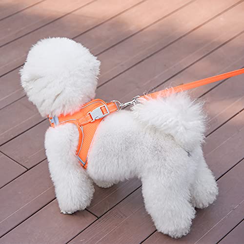 Dogs Harness Leash Set Family Pet Dog Leash Escape Proof Safe Cat Vest Harness for Walking Outdoor - Reflective Adjustable Soft Mesh Breathable Body Harness - Easy Control for Small, Medium, Large Cats and dogs Orange S（neck: 12"-14" chest:15"-17.5"） - PawsPlanet Australia