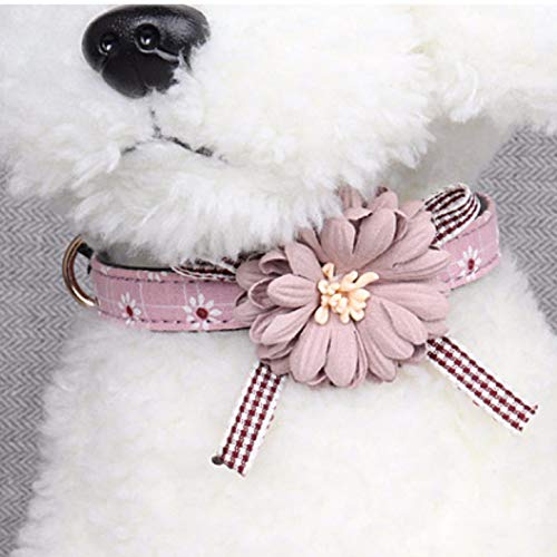 Xrten Portable Safety and Comfy Dog Flowers Holiday Collar, Adjustable Pets Collar Base for Dogs or Cats ect - PawsPlanet Australia