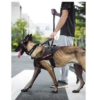7pcs Service Dog Patches with Velcro for Dog Vest Harness. in Training, Ask to Pet, I work - PawsPlanet Australia