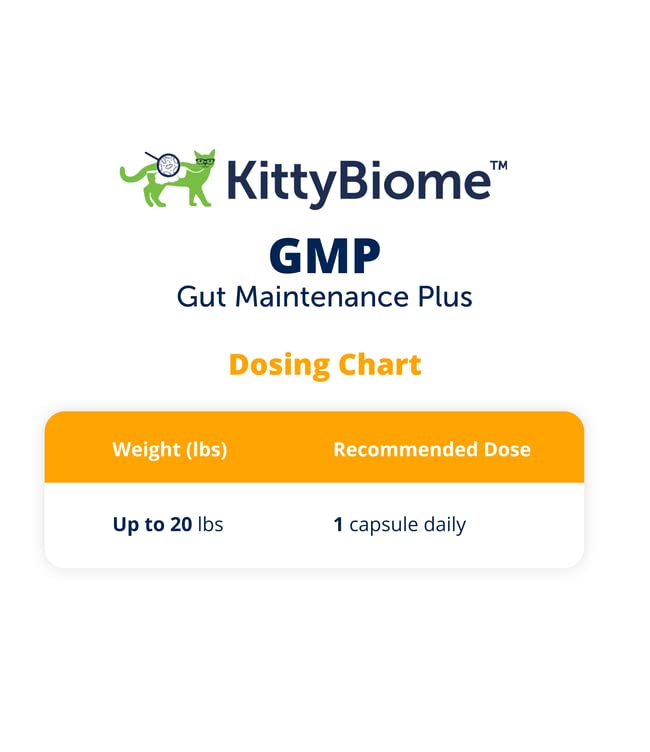 KittyBiome GMP Gut Maintenance Plus Diarrhea Relief for Cats - Triple Action Formula Designed to Reduce Diarrhea Caused by Antibiotics, C. Difficile, or E. Coli - PawsPlanet Australia