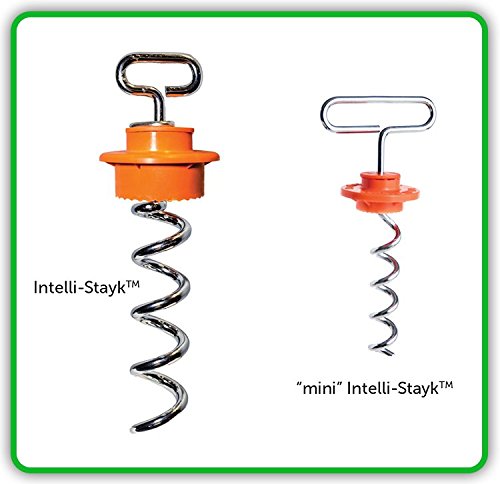 Intellileash 76040 Mini Intelli-Stayk Dog Tie Out. Special Surface Lock Technology Prevents Pulling Out And Bending! Only Tie Out You Will Ever Need! - PawsPlanet Australia
