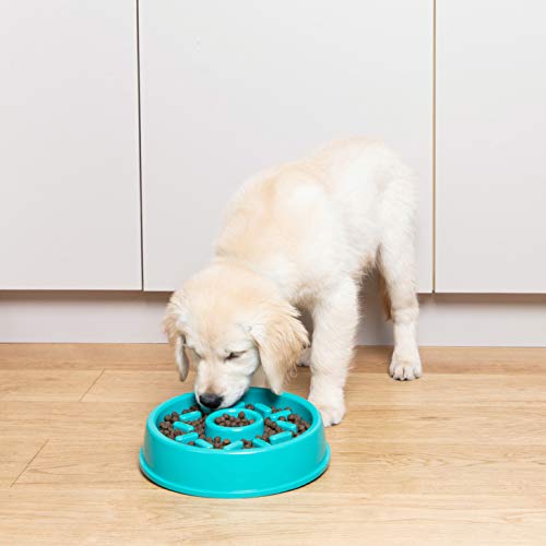 [Australia] - ZippyPaws - Happy Bowl - Slow Feed Dog Bowl - Up to 10x Slower Eating - Dishwasher Safe, Non Slip Donut 