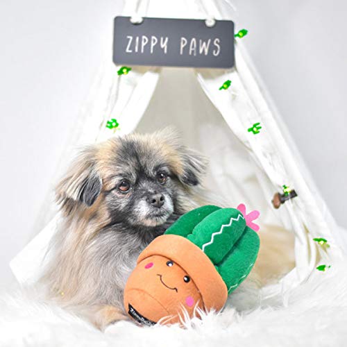 [Australia] - ZippyPaws - Stuffed Plush Dog Toy with Squeaker - Carmen The Cactus 