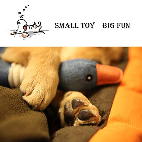 Vitscan Dog Toys for Strong Aggressive Chewers Indestructible Small Breed and Squeaky Goose for Small Medium Dogs Blue - PawsPlanet Australia