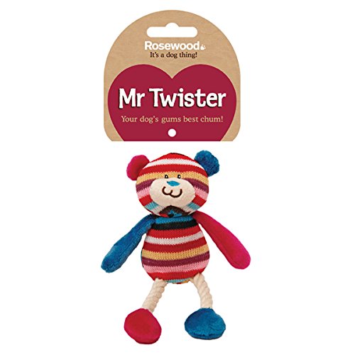 Rosewood Mr Twister Tilly Teddy Dog Toy, Small, multi-colour - PawsPlanet Australia