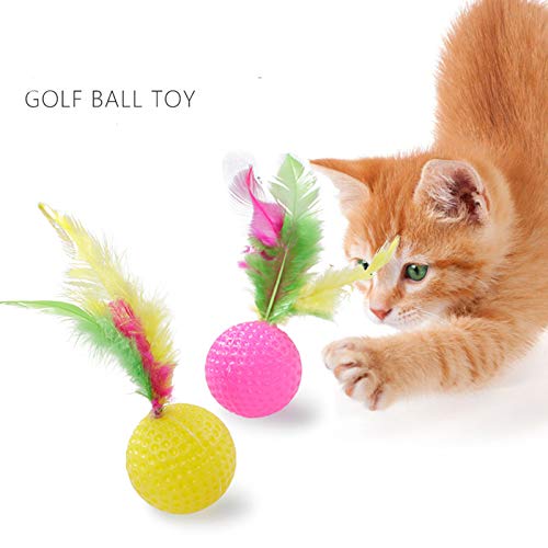 WeFine Cat Toys 21 Pcs Kitten Toys Cat Interactive Toys Set for Indoor Cats - PawsPlanet Australia
