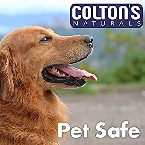 Colton's Naturals (2) Cat & Kitten Training Spray Aid 3 in 1 w/Bitter - Cat Repellent Spray for Outdoor and Indoor USE- Furniture Protector- Anti Scratch- Make Boundaries - Cat Spray USA Made - PawsPlanet Australia