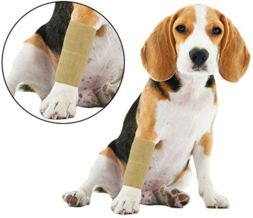 6 Rolls Cohesive Bandage, Self Adherent Wrap, 5cm x 4.5m Elastic Self Adhesive Tape, Medical Tape, Pet Vet Wrap for First Aid, First Aid Supplies for Sports, Wrist, Ankle Sprains & Swelling - PawsPlanet Australia